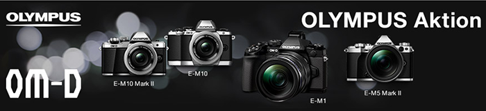 E-M1